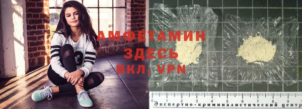 гашиш Богданович