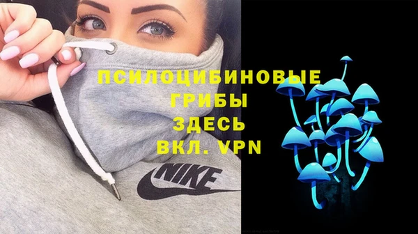 гашиш Богданович