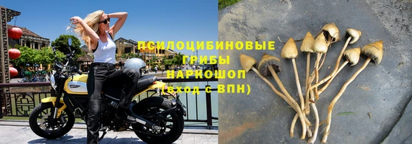 гашиш Богданович